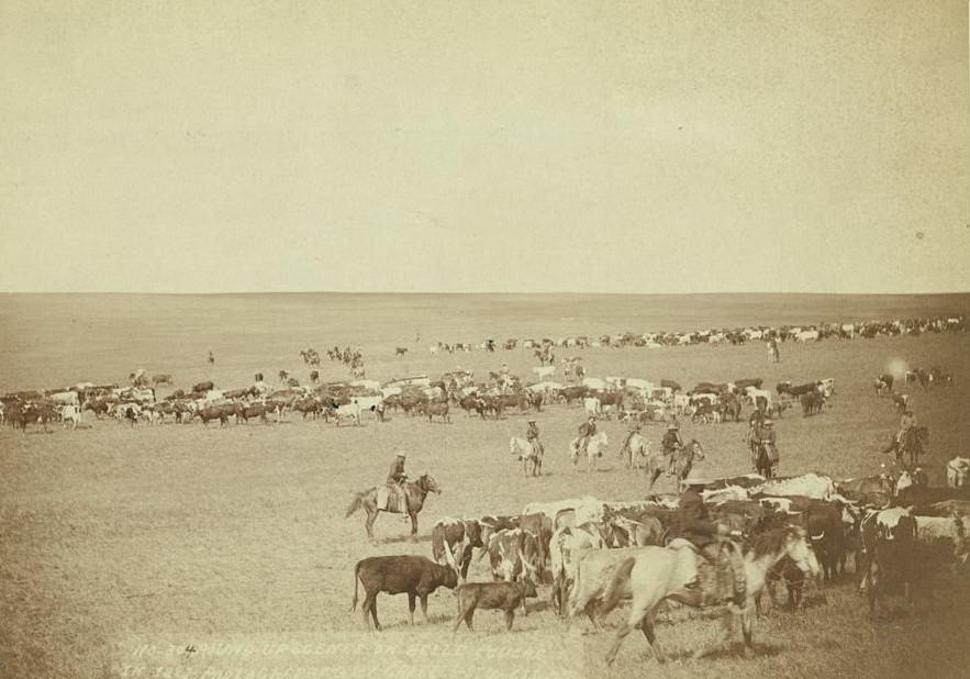 Round-up scenes on Belle Fourche in 1887.