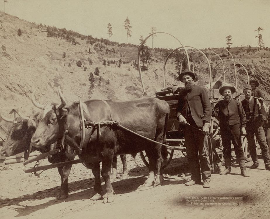 Prospectors going to the new Gold Field, 1889.