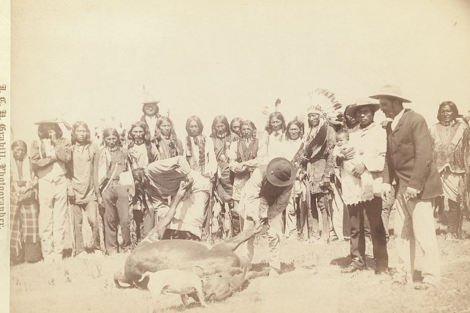 Skinning Beef, 1890s.