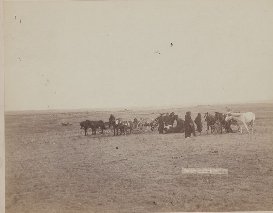 Skinning beef at beef issue, 1891.