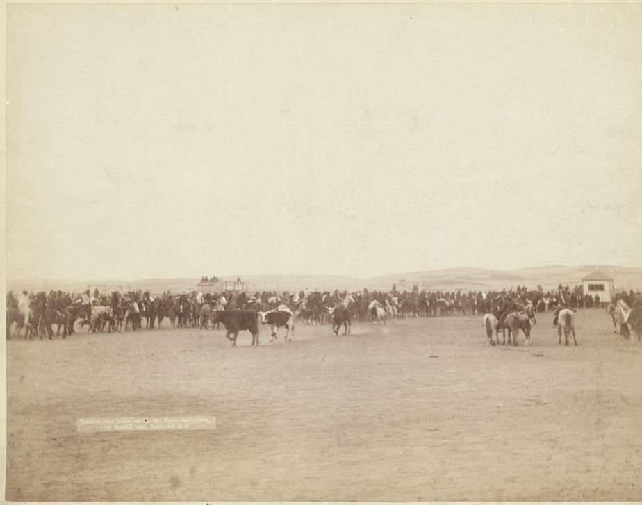 Beef issue to Indians at Pine Ridge, 1891.