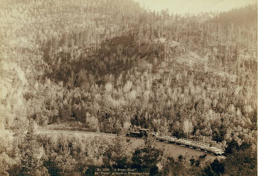 "A pretty view" at "picnic" grounds on Homestake Road, 1890.