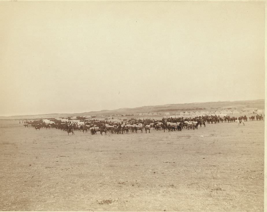 Grand review, 1890s.
