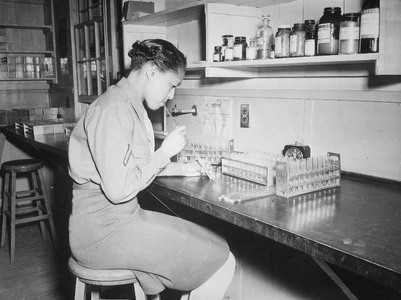 Facing Two Fronts: African American Women Working During World War II