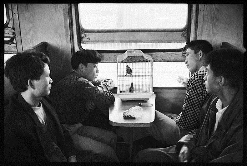 Riding the Rails in 1970s China: Wang Fuchun's Train Photos