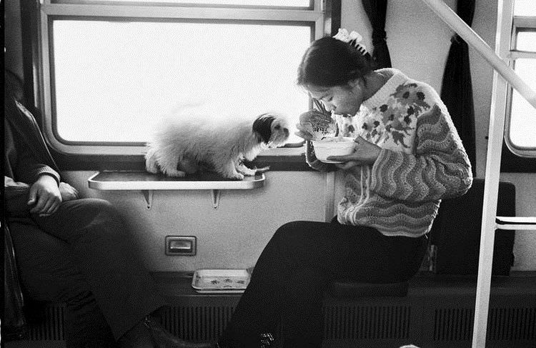 Riding the Rails in 1970s China: Wang Fuchun's Train Photos