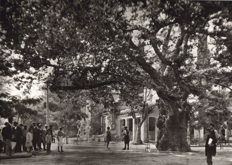 A Simple and Quiet Greece: Fred Boissonnas' Early 20th Century Photographs