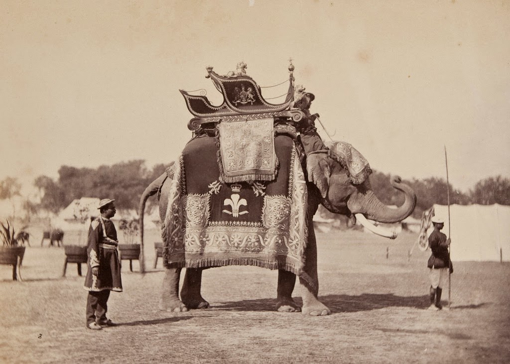 Caparisoned Elephant, 1870s.