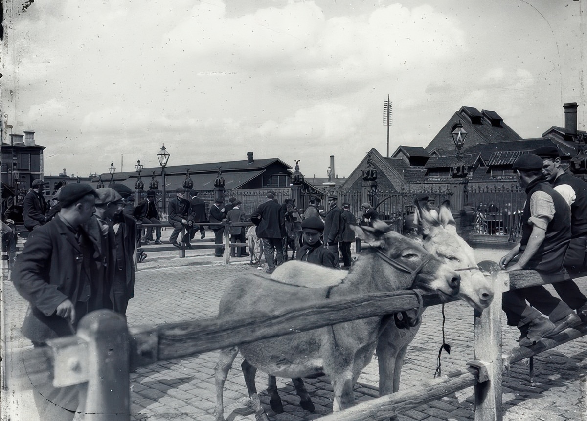 Caledonian Road Market, 1910