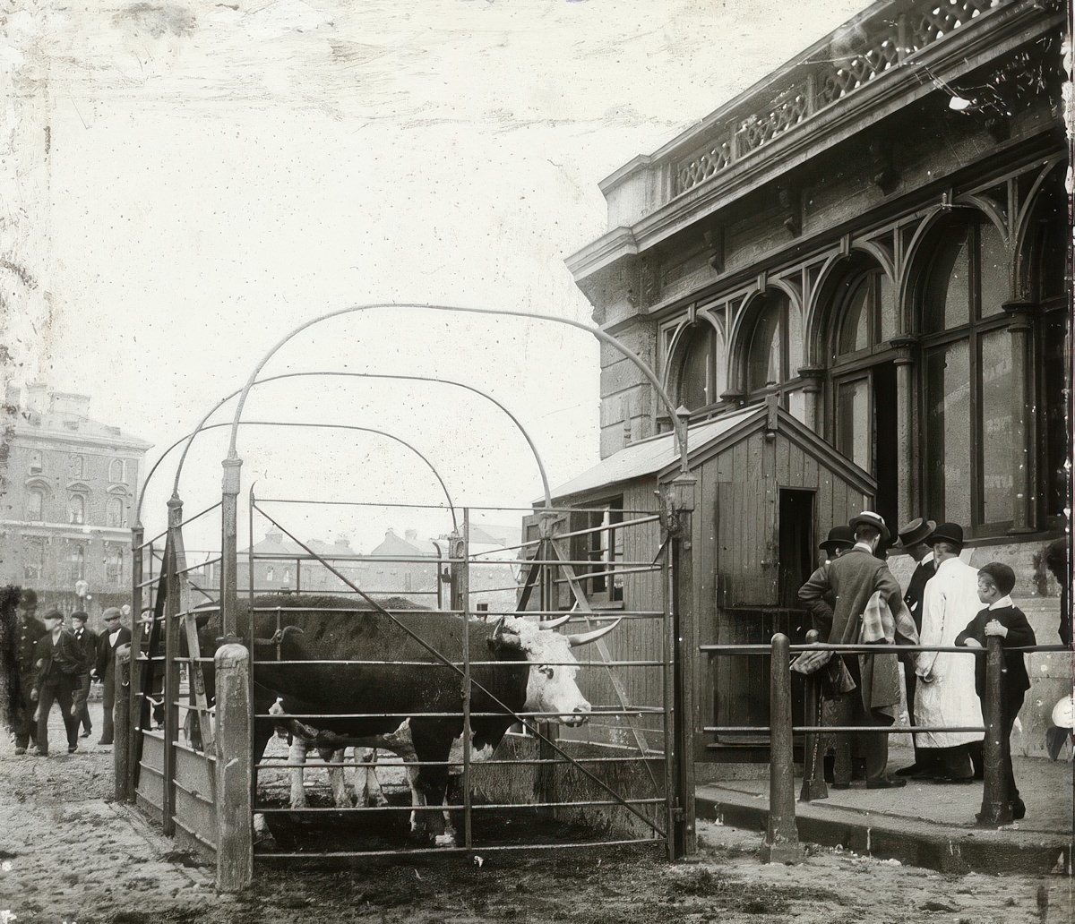Caledonian Road Market, 1910