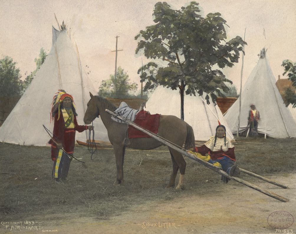Sioux Litter.