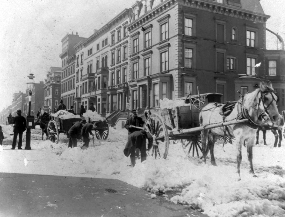 Men loading horse-drawn snow carts, New York City, 1896.