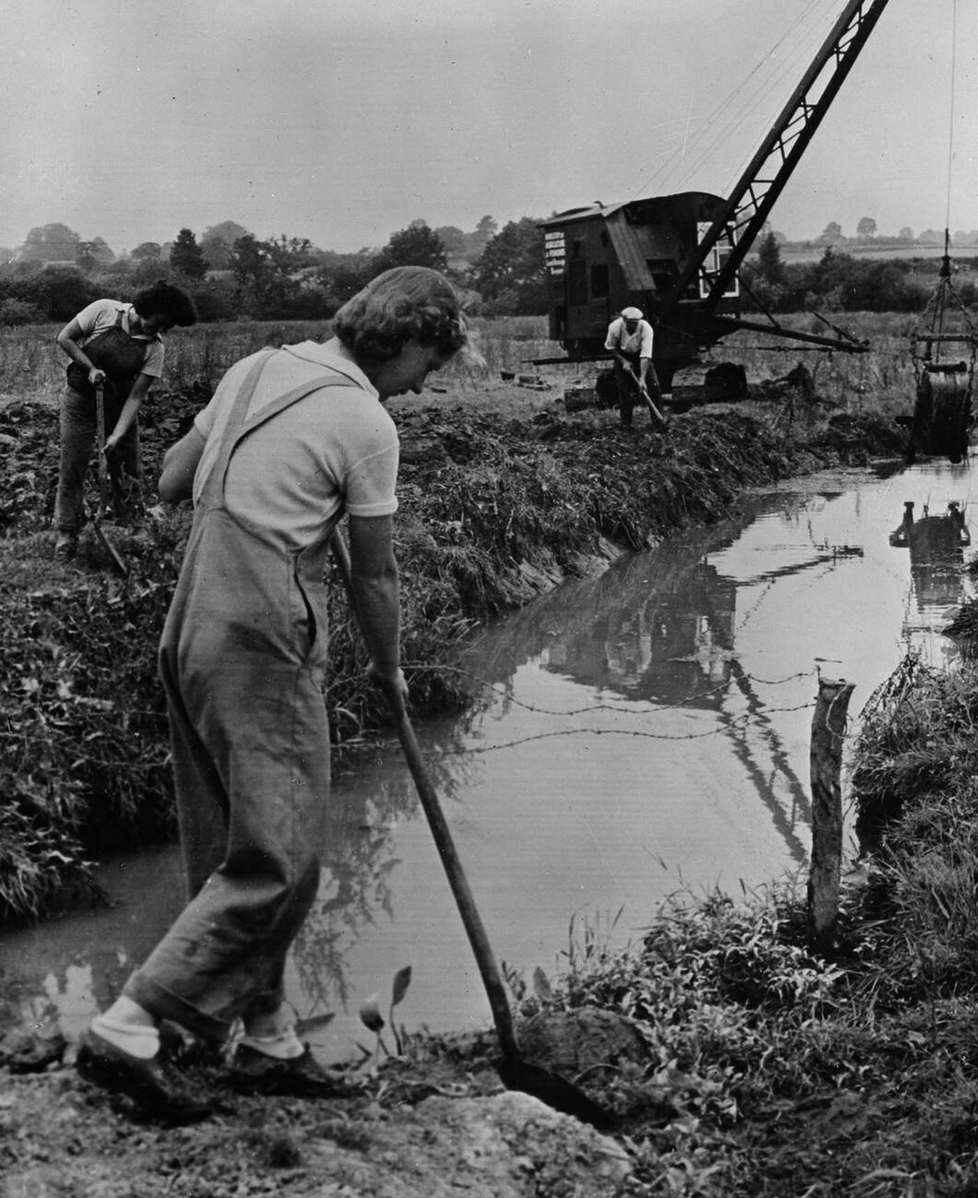 British women working on a farm, 1943