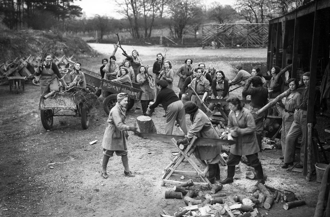 Women's Land Army or Land Girls, World War II