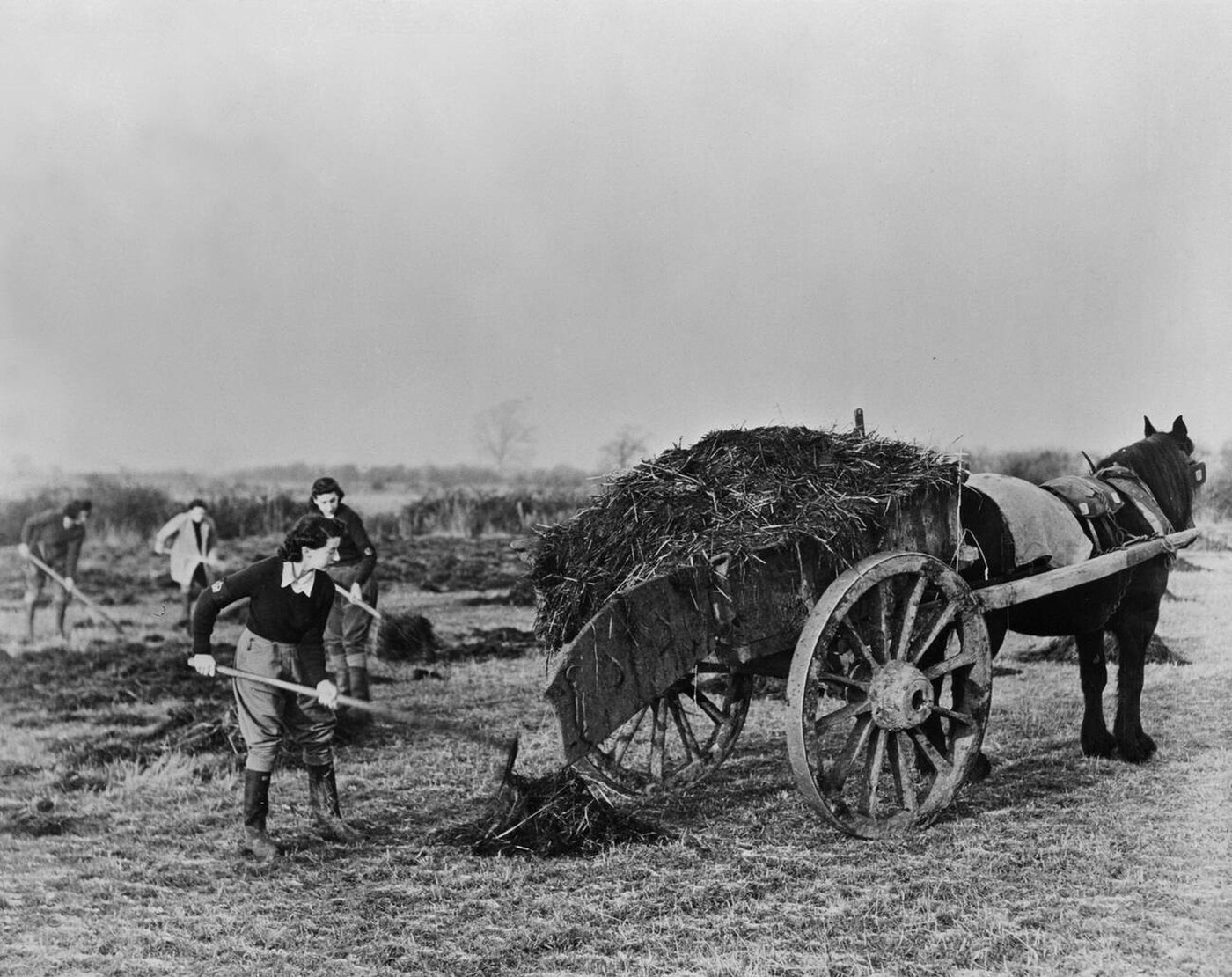 British women working on a farm, 1943