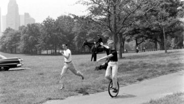 New York Central Park 1961