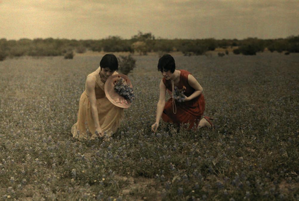 Two women pick the state flower in a Laredo field, Texas, ca. 1920s.