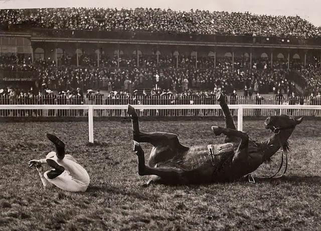 Fallen horse and jockey.