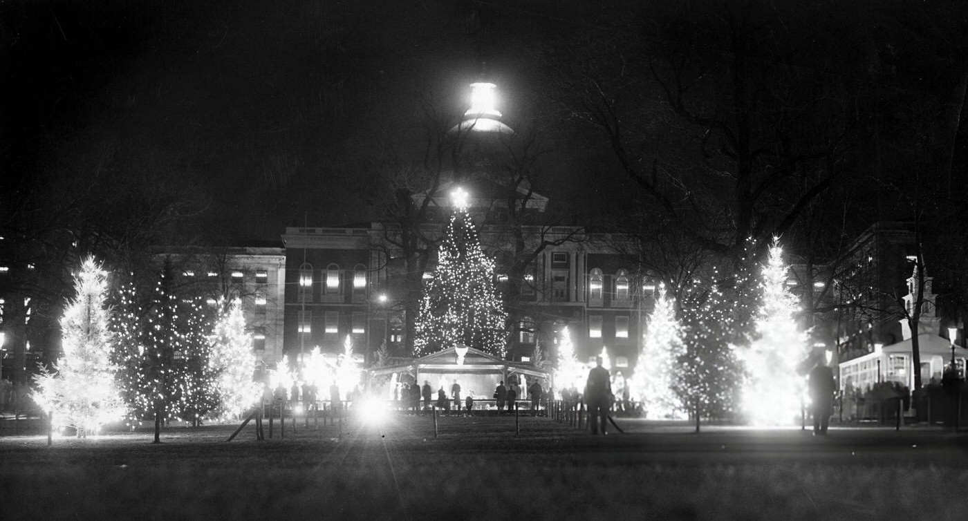 Trees decorated with Christmas lights on Boston Common, 1960.