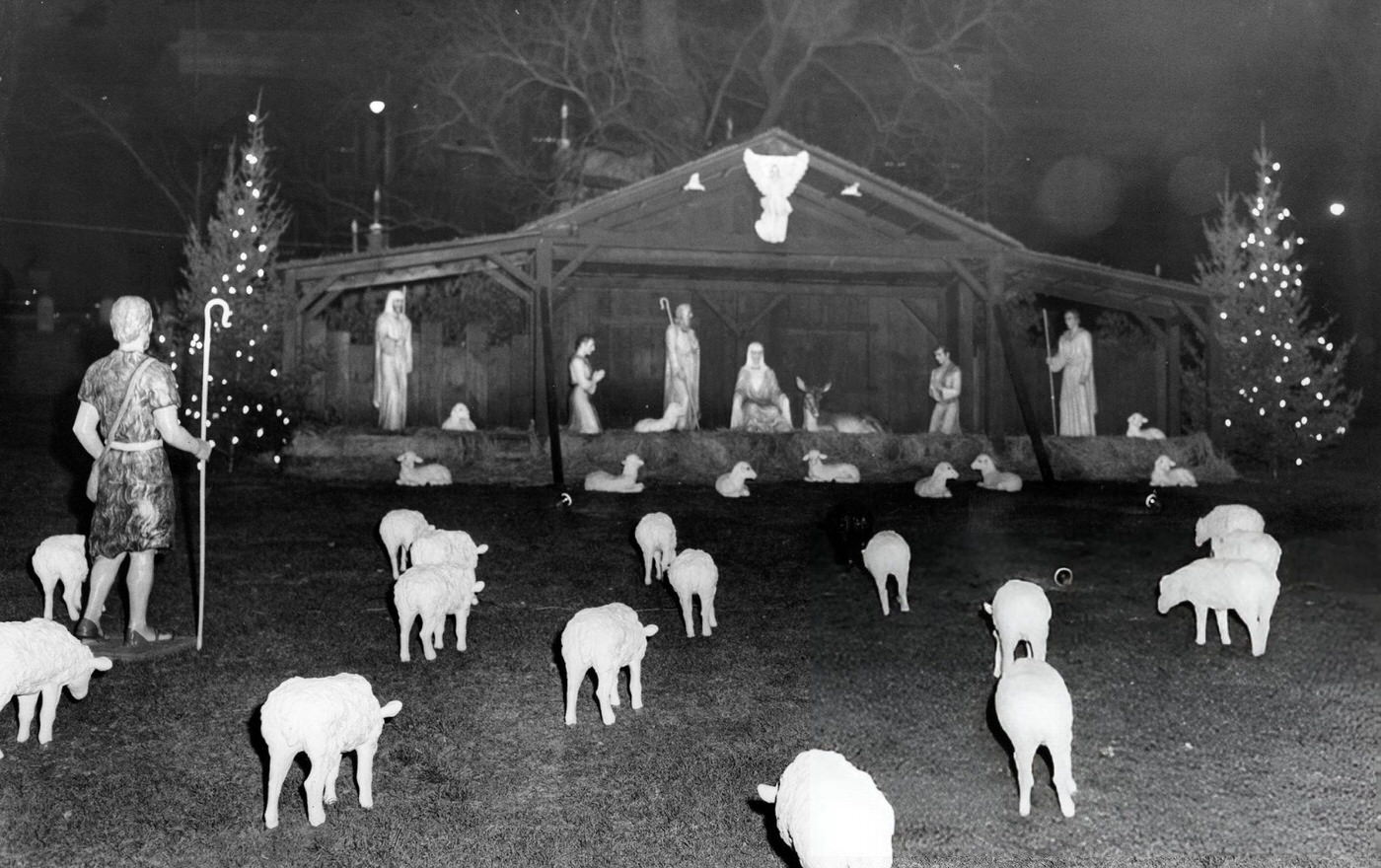 The stable scene is set up on Boston Common, 1956.