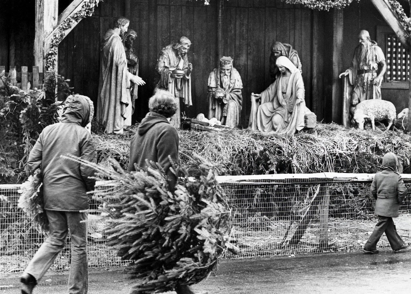 People carrying a tree and wreath walk past the Christmas decorations on Boston Common, 1974.