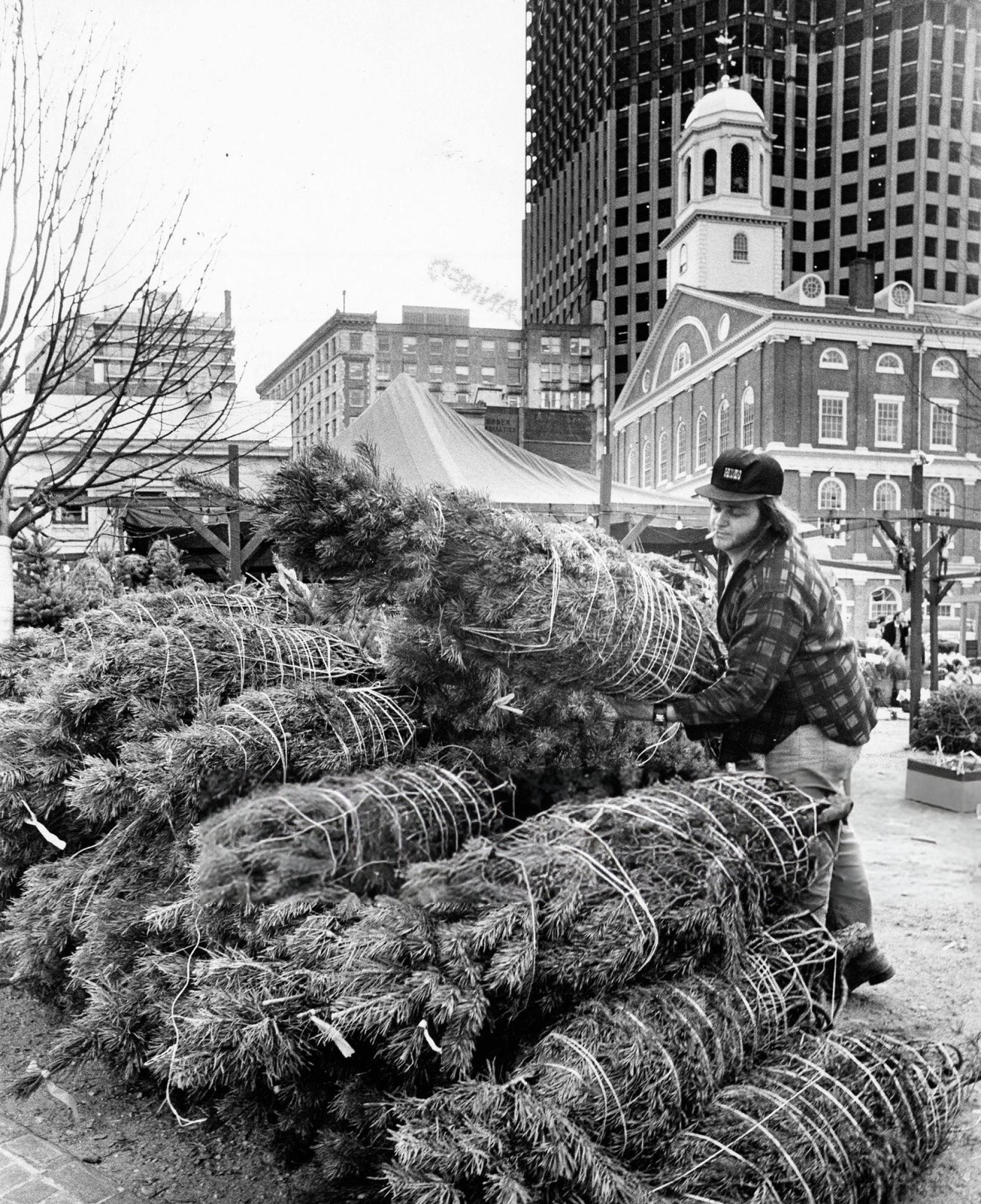 Christmas trees are stacked near Faneuil Hall in Boston, 1976.