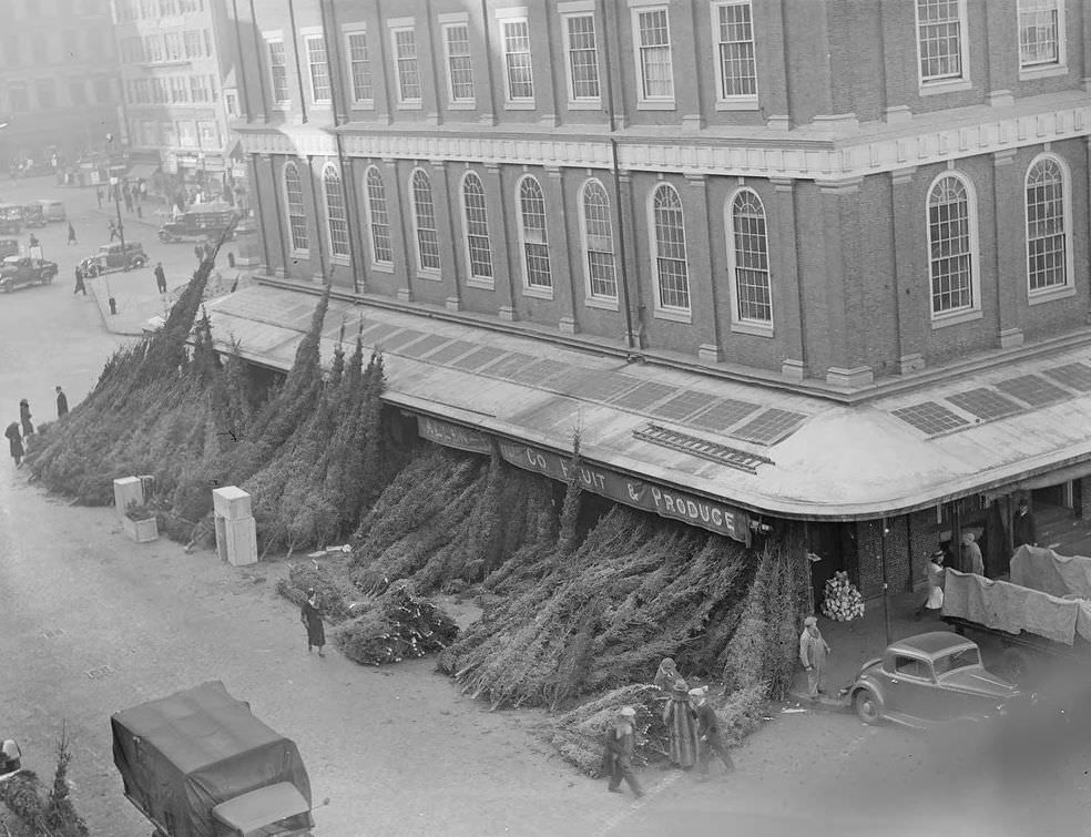 Allen & Co. Fruit and Produce selling Christmas Trees, 1930.