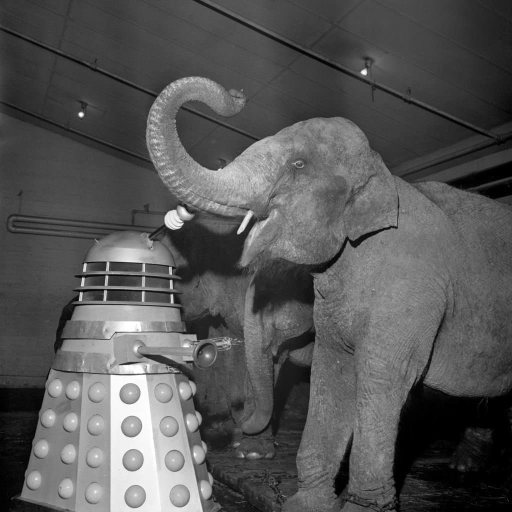 The Daleks of the BBC television series ‘Dr. Who’ take to the ring with elephants at Belle Vue circus, Manchester, 1965.