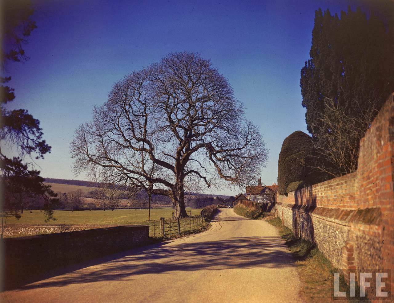 Road leading out of village of Hambledon during WWII.