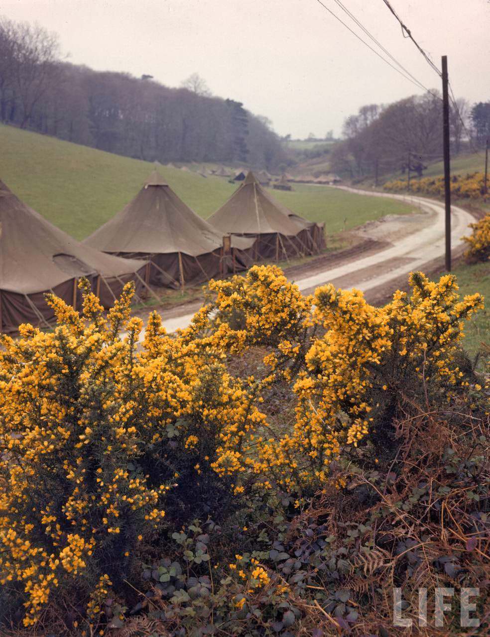 Roadside tents awaiting soldier occupants shortly before the D-Day invasion of France during WWII.