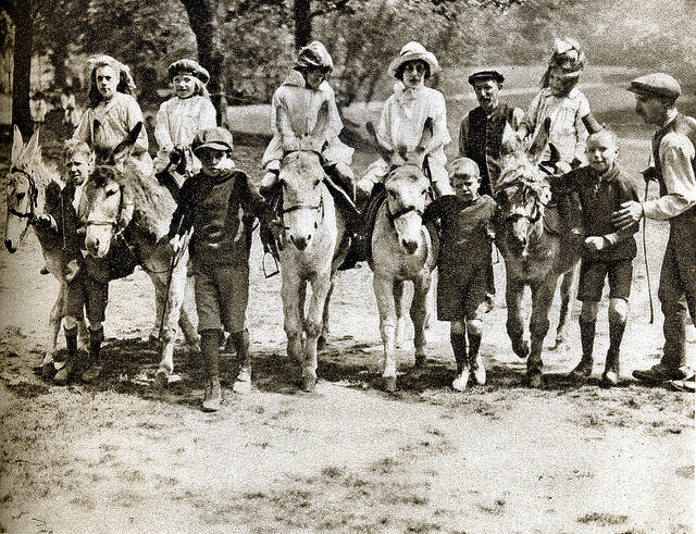 Hampstead Heath donkey rides