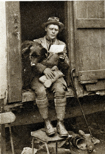 Shepherd