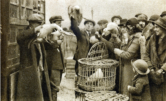 Caledonian Market