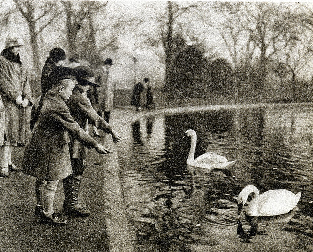 Serpentine, Hyde Park