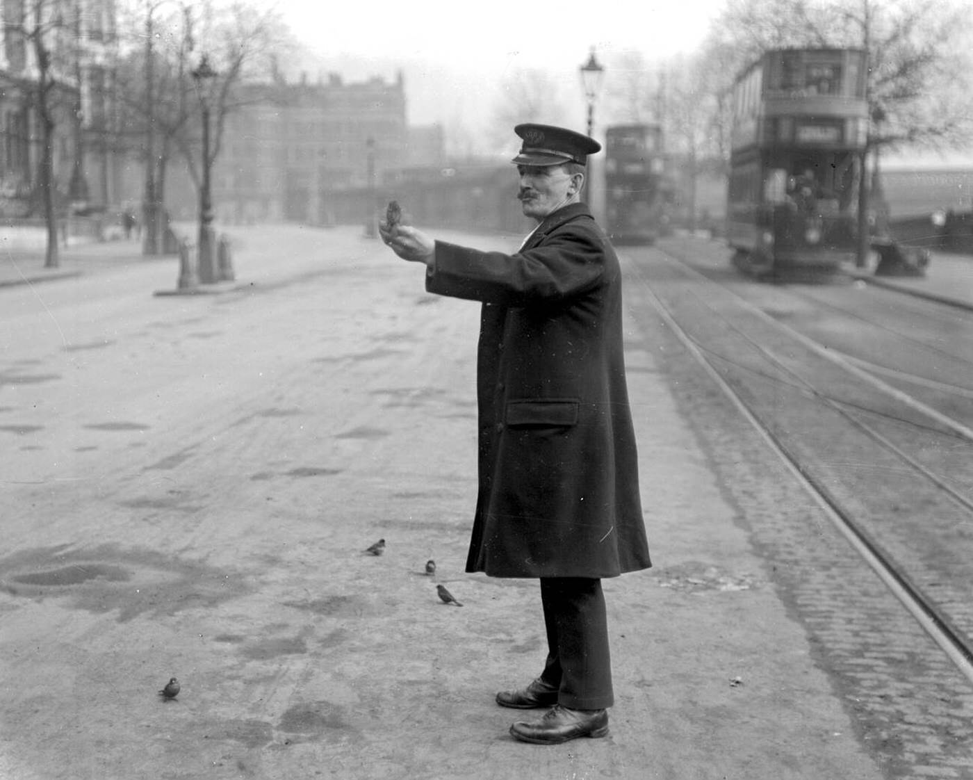 Sparrows at Embankment, 1920.