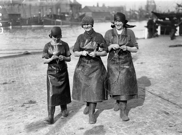Three Scottish herring girls knitting whilst waiting for the arrival of the fishing fleet at Great Yarmouth, England, 1929.