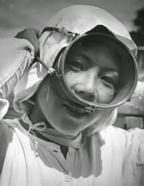 A young Japanese girl adjusts her face mask before another dive to catch shellfish, 1956.
