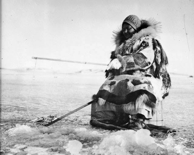 A Sami woman fishes through a hole on an icy expanse in Alaska, 1950s.