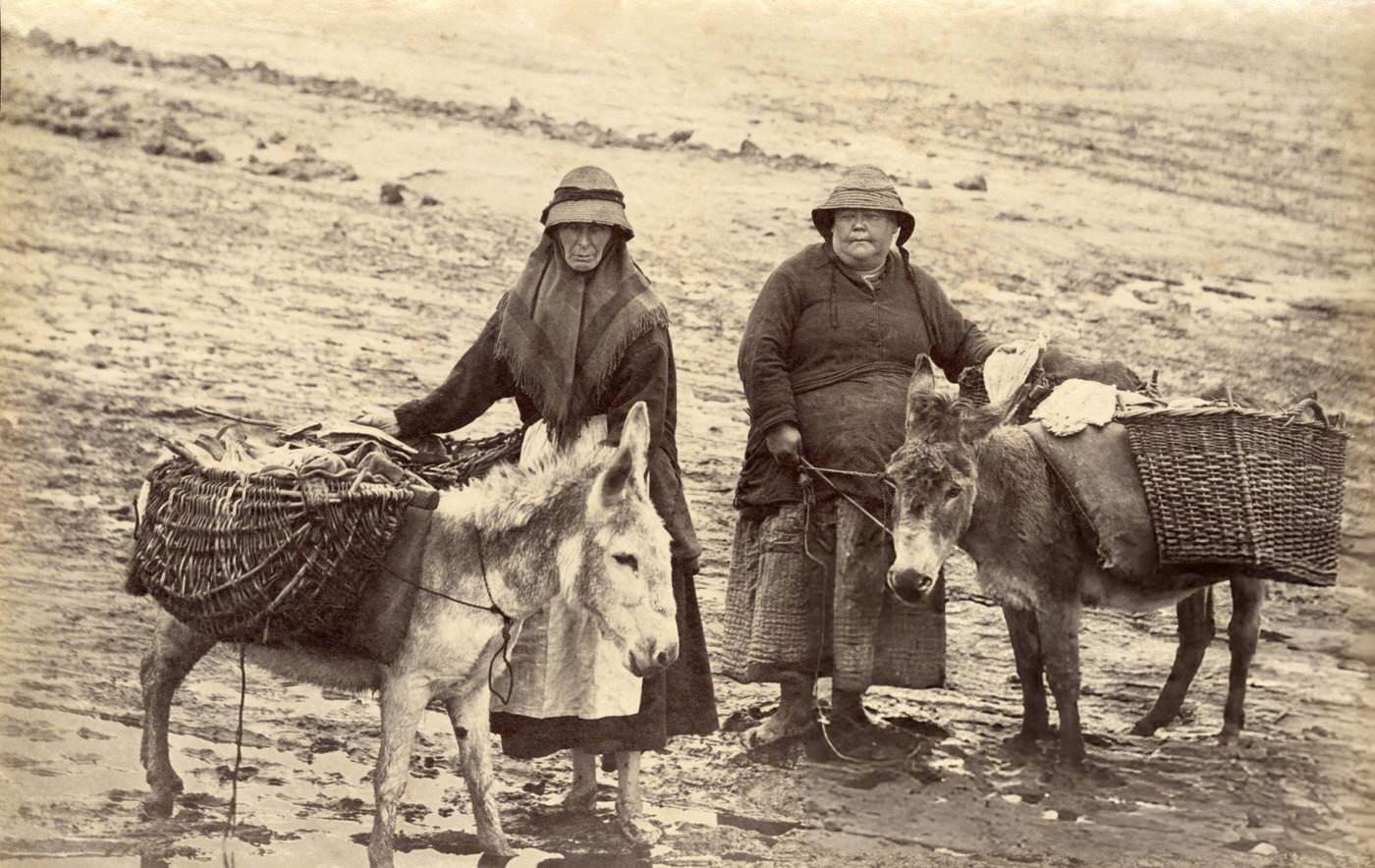 Holy Island fisherwomen with their donkeys and baskets off the coast of Northumberland, England, 1900.