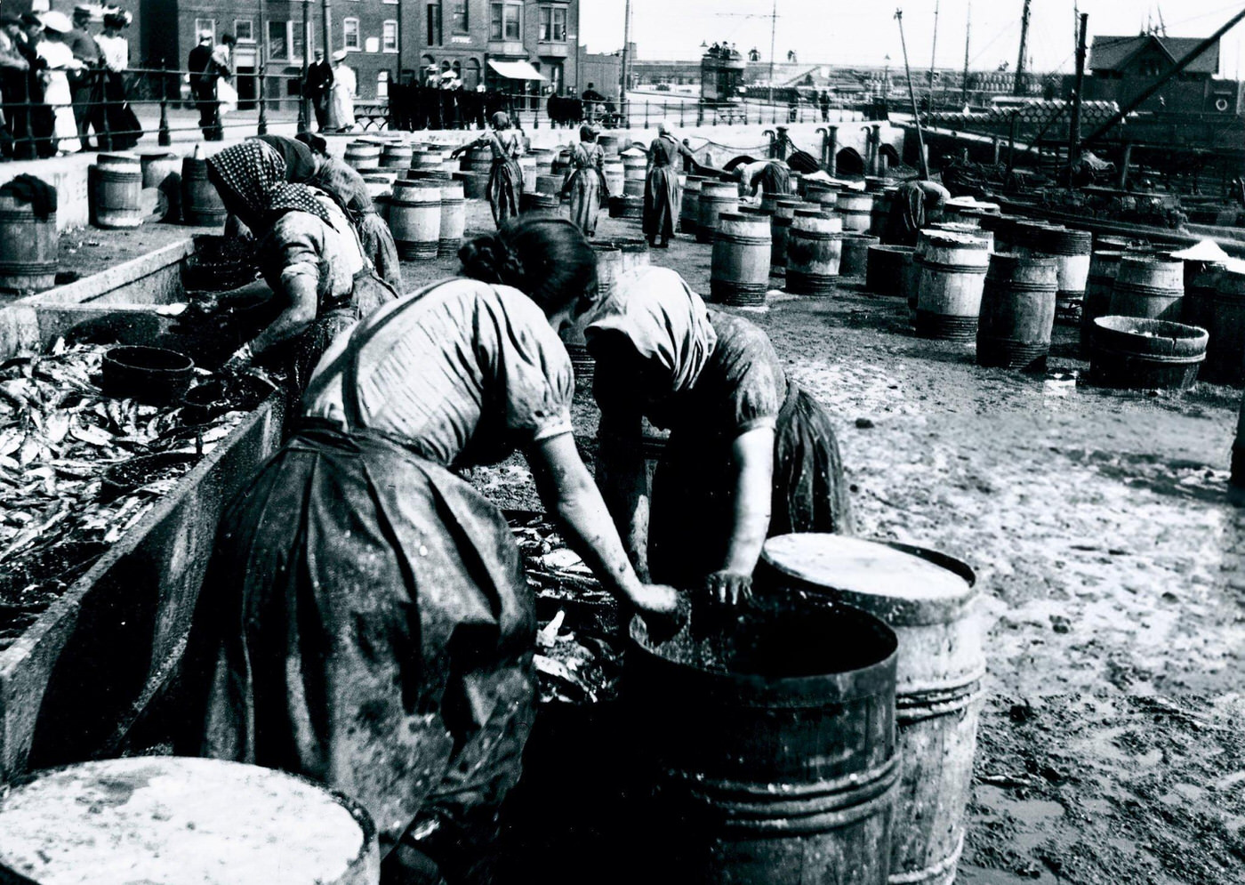Female fish-gutters at work, Whitby quayside, North Yorkshire, 1900s.