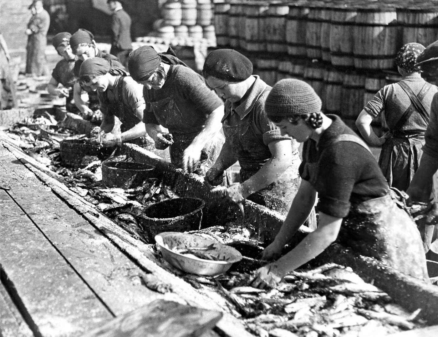 Fisherwomen cleaning fish on North Shields Fish Quay, 1931.