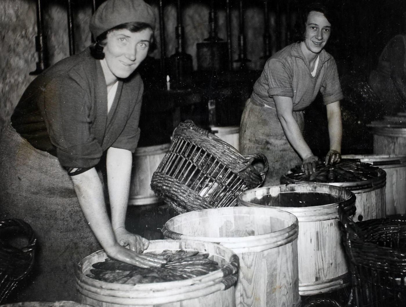 Cornish fisherwomen curing pilchards at Newlyn, Cornwall.