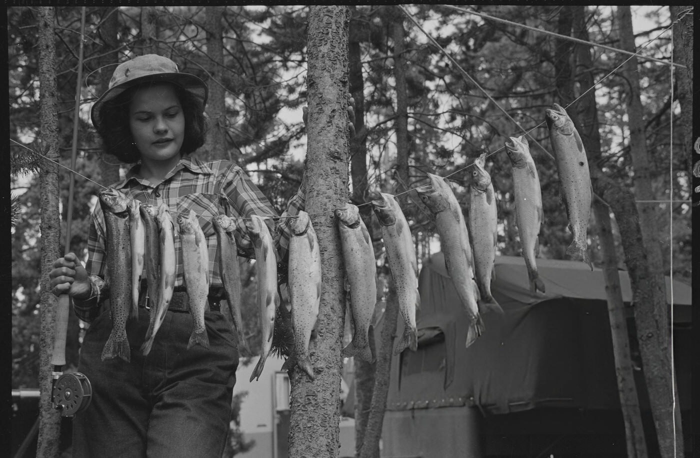 The Day's Catch, cutthroat trout, Fishing Bridge Camp, Yellowstone Park, Wyoming.