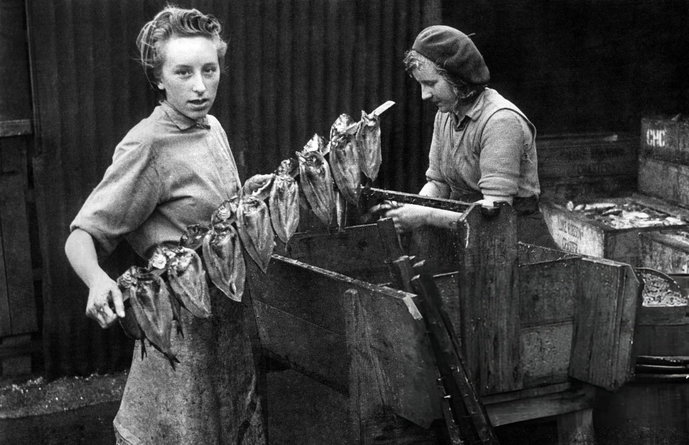Fisherwomen preparing herrings to be smoked, 1943.