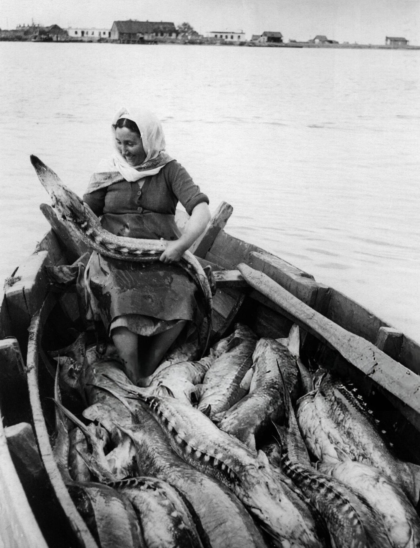 Woman sitting among a boatload of sturgeons.