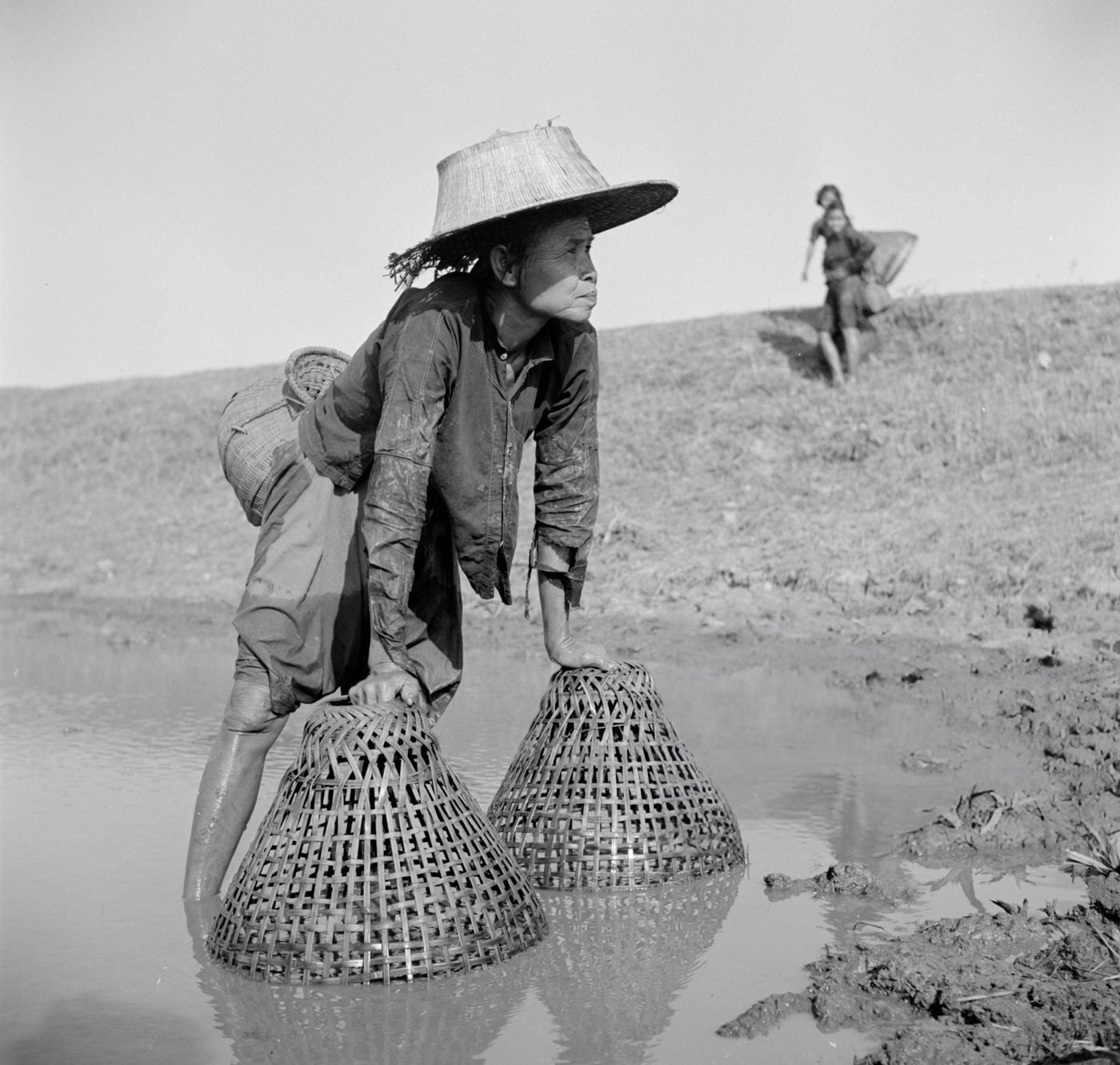 An elderly woman using baskets to fish for plaice in a canal in Thailand, 1955.