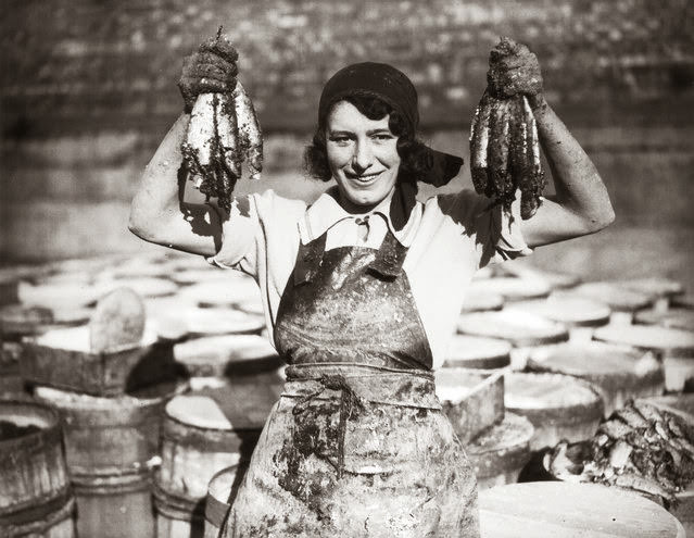 A young woman at Great Yarmouth working during the herring harvest, 1932.