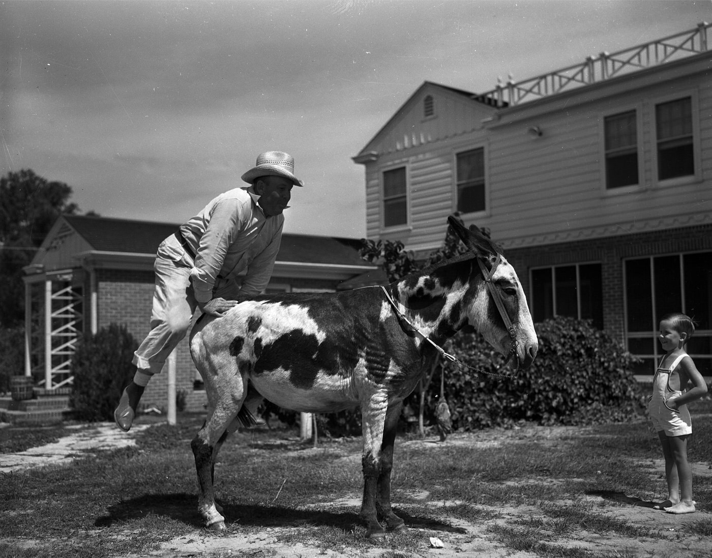 W.R. Watt and family's donkey, Fort Worth, 1939