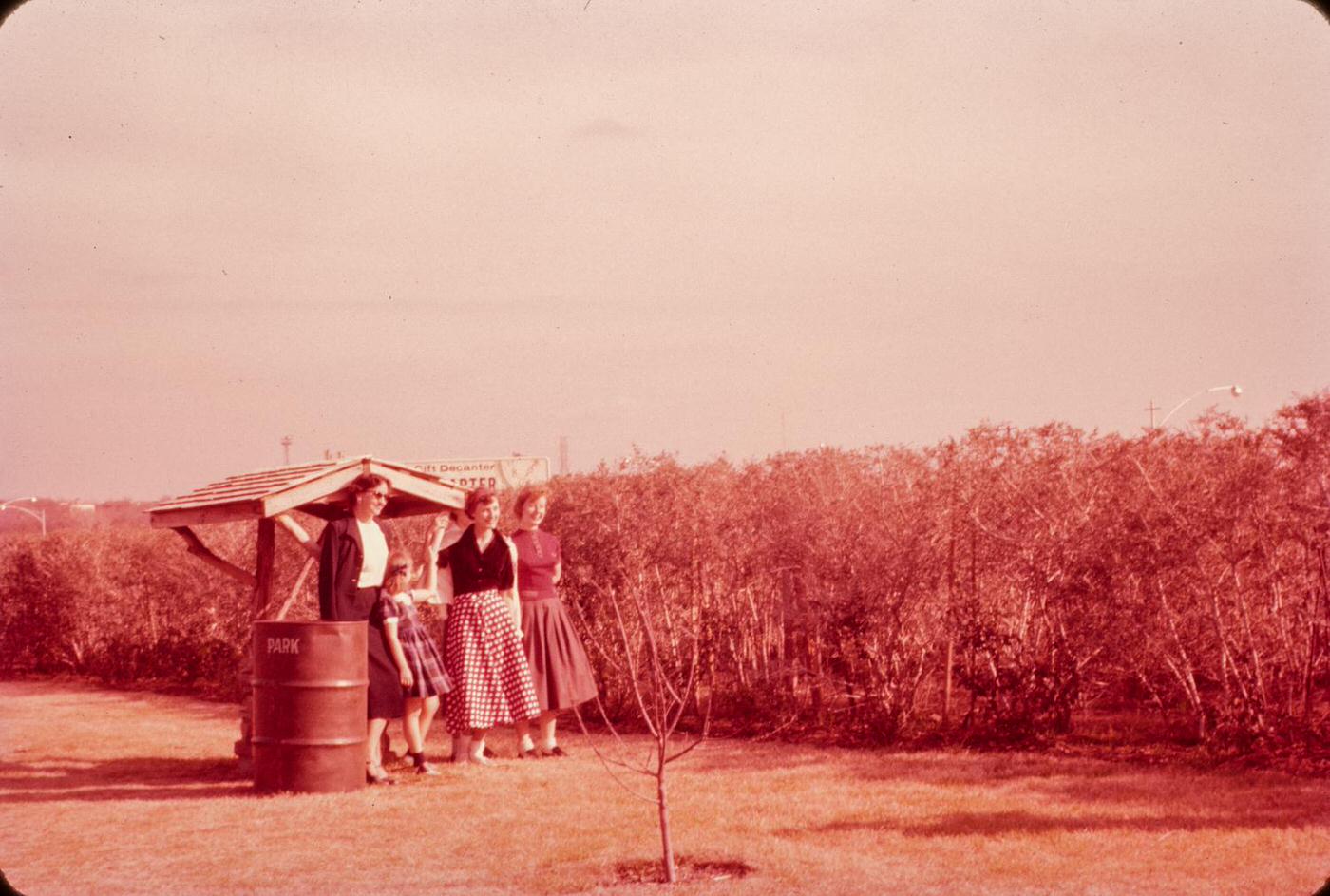 Visitors in the Fort Worth Botanic Garden hedge maze, 1956.
