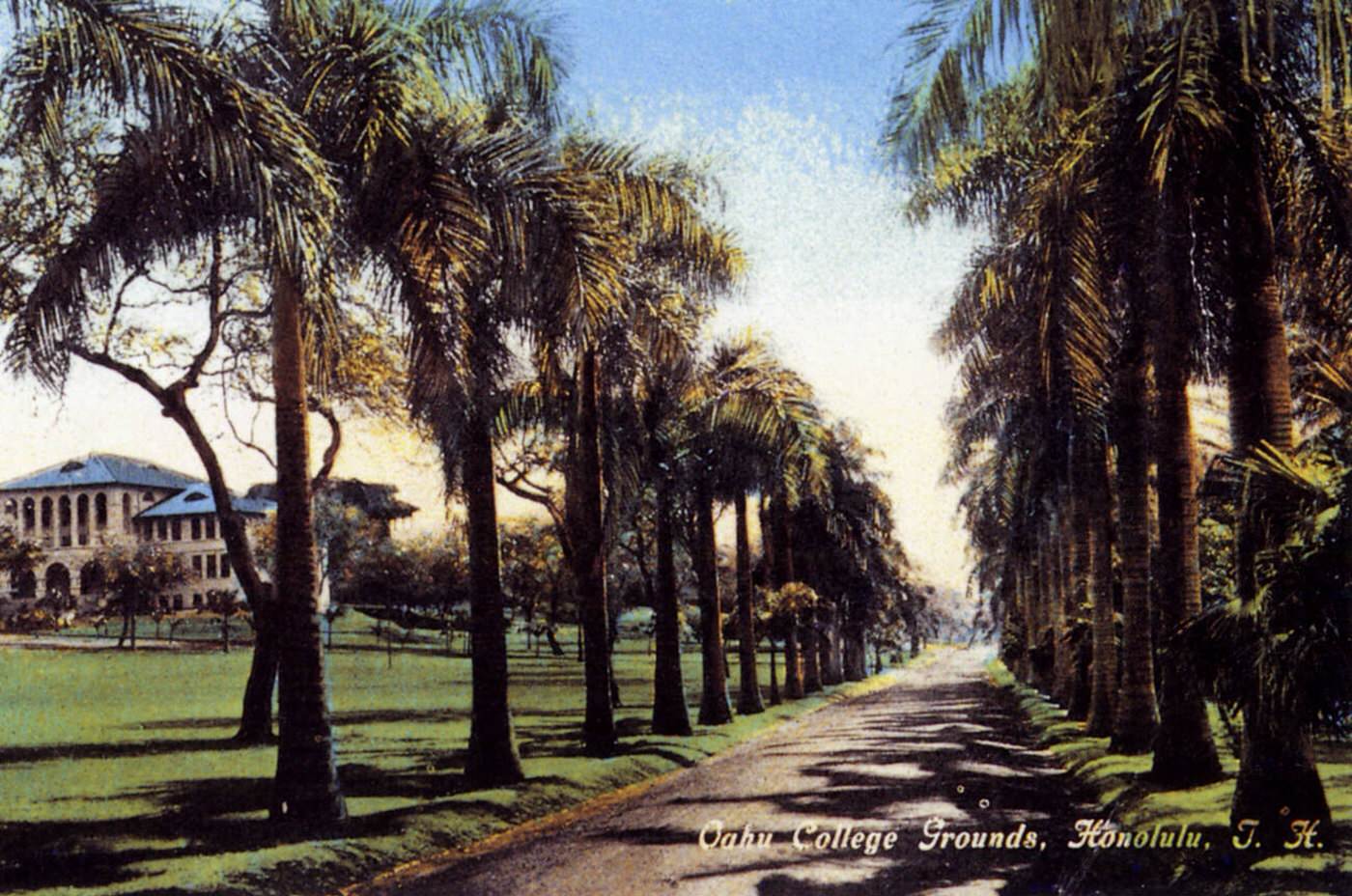 Oahu College Grounds, Honolulu, Oahu, Hawaii, 1905.